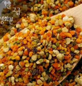 햇고급가을생화분 1kg