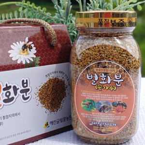 26년 햇 잡화 건조 화분510g