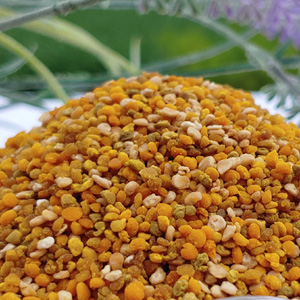 26년 햇 잡화 건조 화분510g